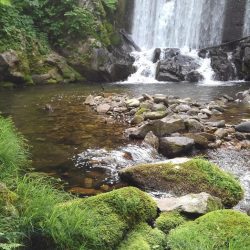 渓流ミノーイング ～九頭竜川水系～